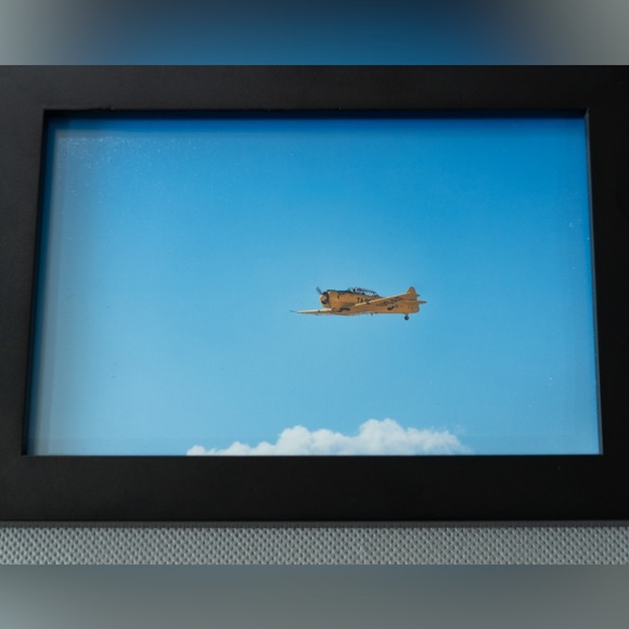 Yellow T-6 - Picture 6 of 6